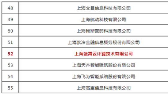 比格云荣获”2020 上海软件和信息技术服务业高成长百家”